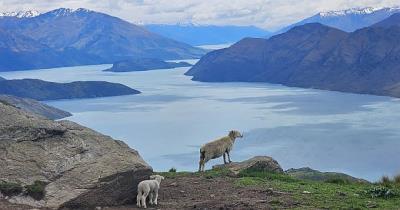 La Nouvelle-Zélande, un pays à l'écart